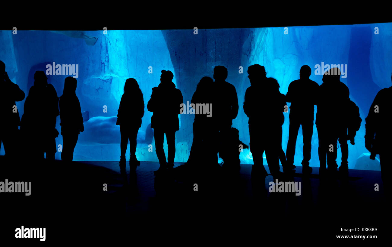 Silueta grupo de gente mirando un acuario con rocas Azul submarino Foto de stock