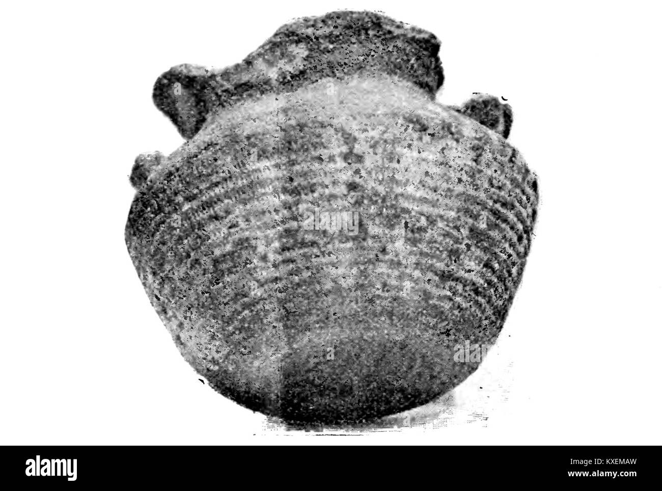 Algunos vasos ceremoniales de la región calchaquí - Fig. 4 Foto de stock