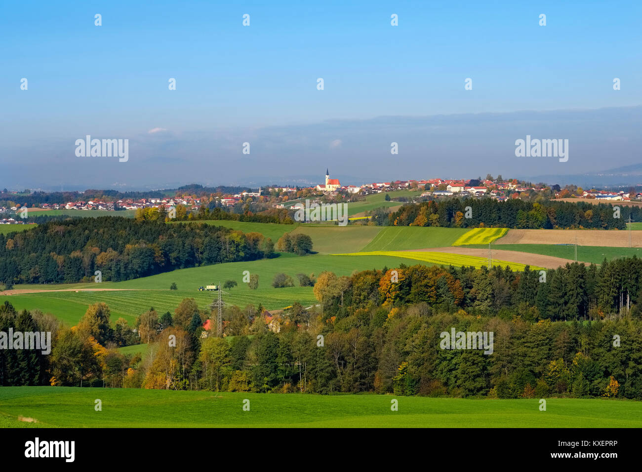 Untergriesbach,Bosque Bávaro,Baja Baviera, Baviera, Alemania Foto de stock