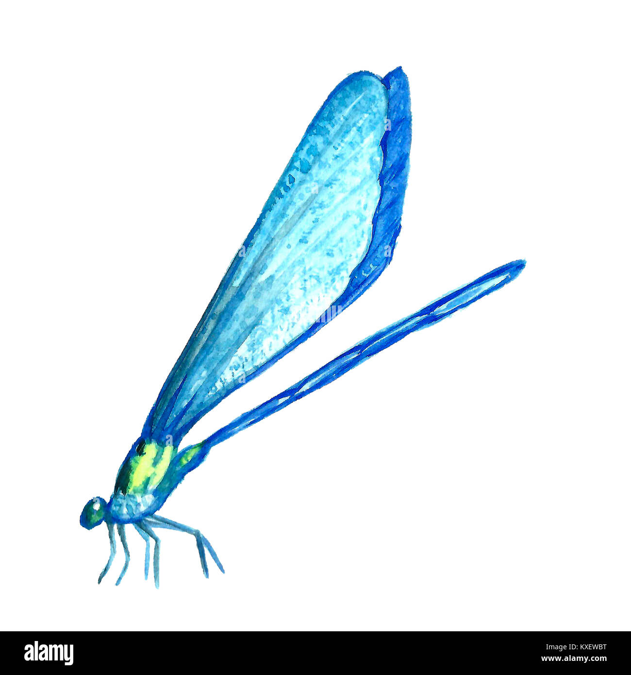 Ilustración de acuarela de una libélula. Imagen de un animal hecho a mano.  Mano de pintura pinturas de insectos. Patrón de mariposas aislados sobre un  fondo blanco Fotografía de stock - Alamy