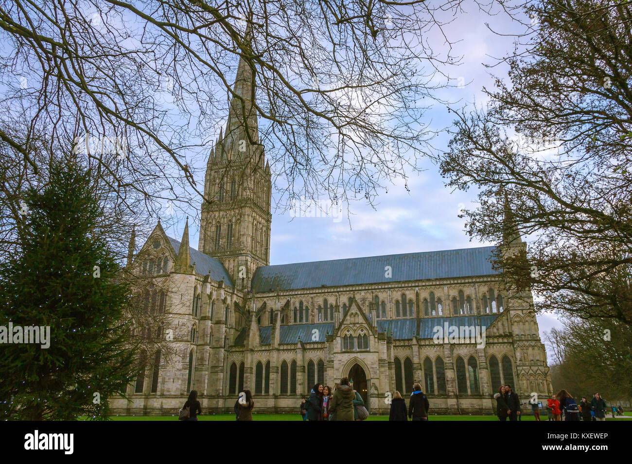 La Catedral de Salisbury, y hogar de uno de los cuatro restantes exemplifications del original de 1215 (Carta Magna Carta Libertatum). Salisbury, REINO UNIDO Foto de stock