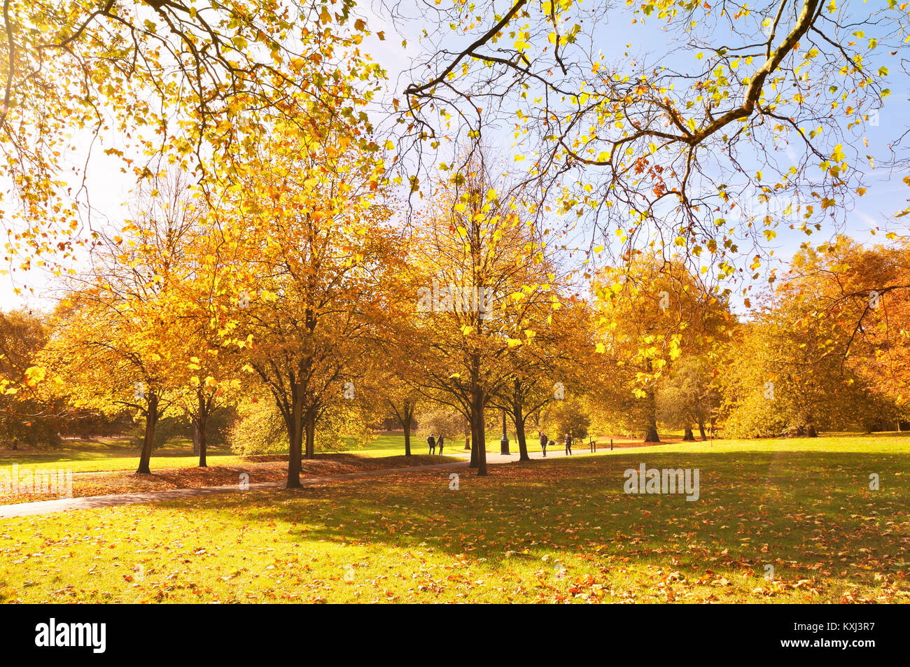 Green Park, Londres. Una pareja joven camina de la mano de coloridos árboles en un hermoso día soleado en otoño. Foto de stock