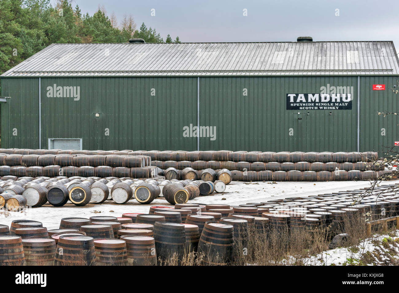 SPEYSIDE destilería de whisky TAMDHU con barriles en la nieve y heladas invernales. Foto de stock