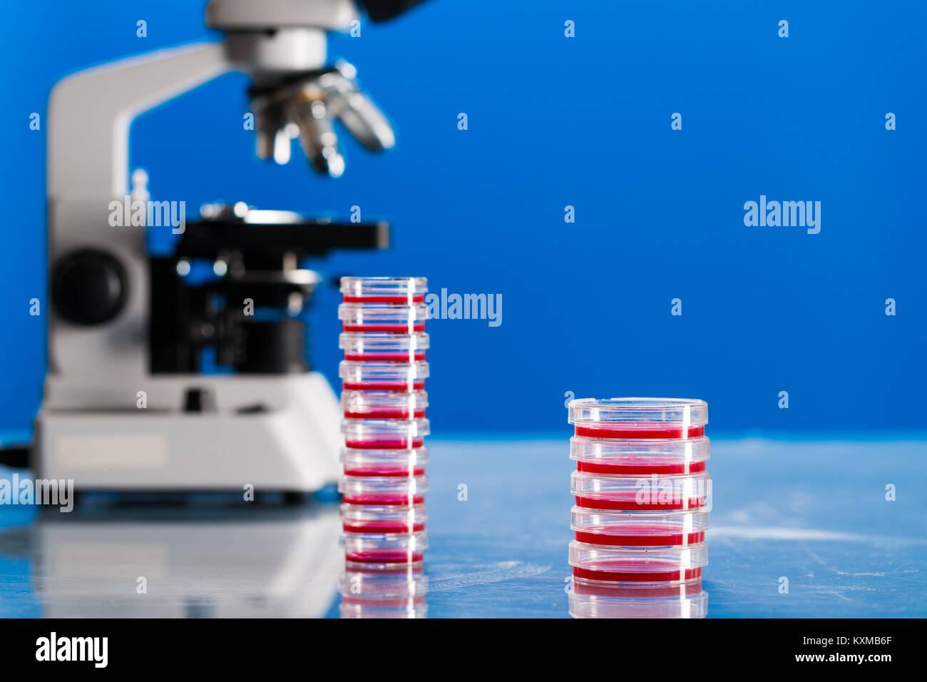 Identificación de microbios patógenos y virus. Foto de stock