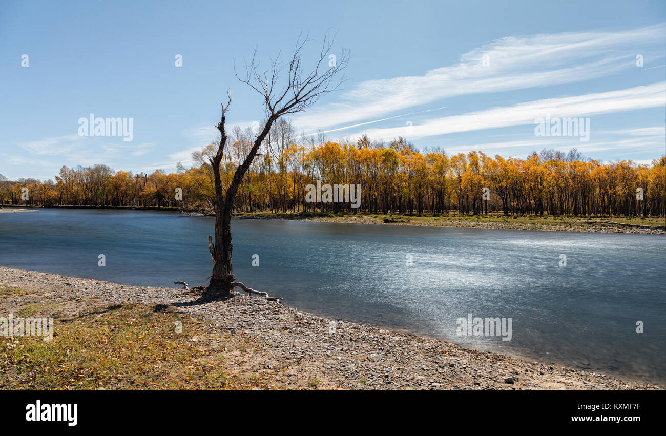Árbol Muerto de pie banco río amarillo leafs caída larga exposición de filtro ND Foto de stock
