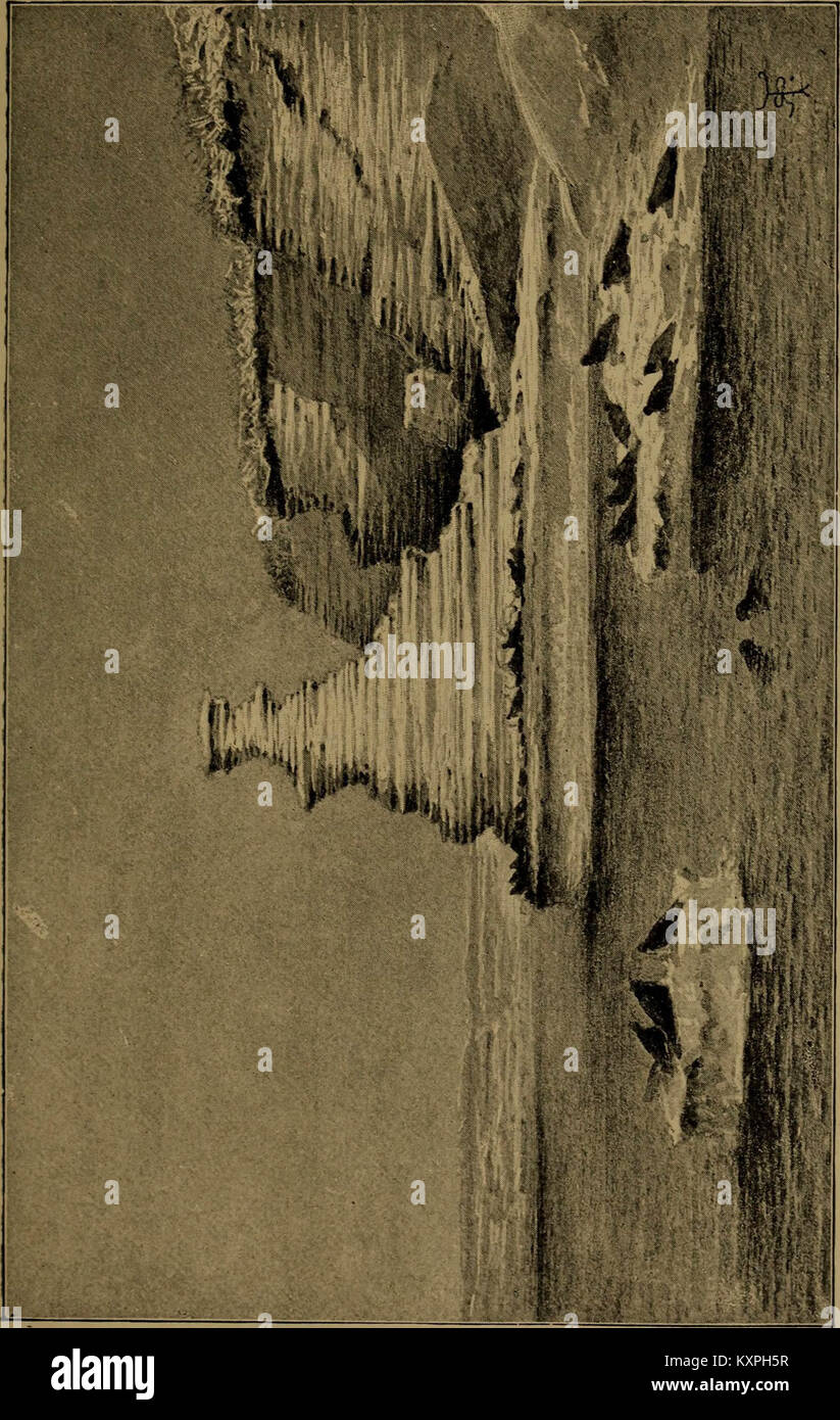 'Journal of investiga la historia natural y la geología de los países visitados durante el viaje alrededor del mundo del H.M.S. "Beagle", bajo el mando del capitán Fitz Roy" (1913) Foto de stock