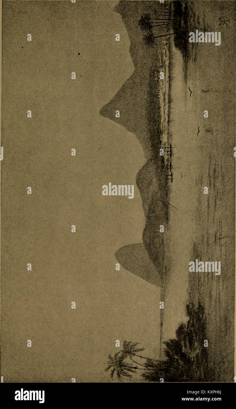 'Journal of investiga la historia natural y la geología de los países visitados durante el viaje alrededor del mundo del H.M.S. "Beagle", bajo el mando del capitán Fitz Roy" (1913) Foto de stock