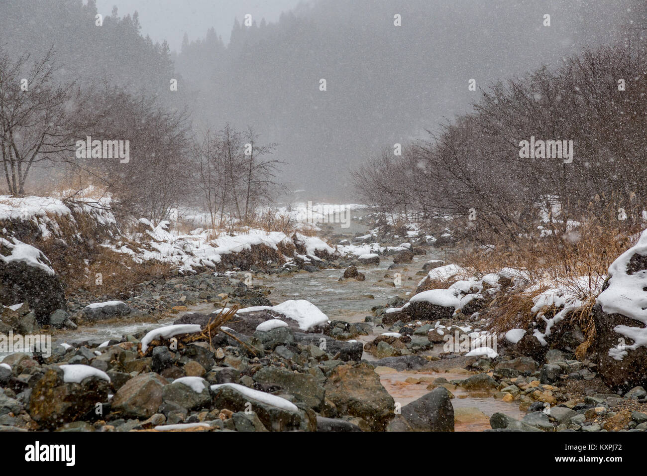 La Yokoku río fluye a través de la montaña de rocas. El río es alimentado por aguas termales en las montañas, por lo que permanece caliente incluso en el frío del invierno Foto de stock
