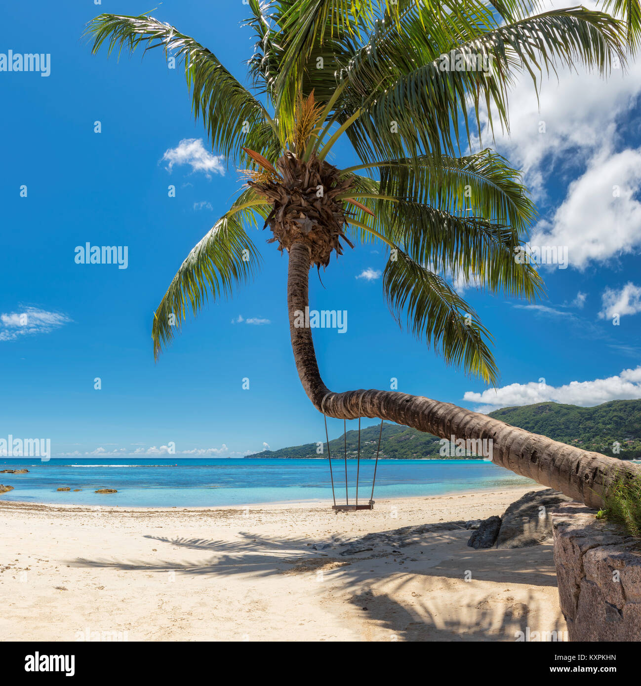 Palmera tropical beach en Seychelles, Mahe Island. Foto de stock