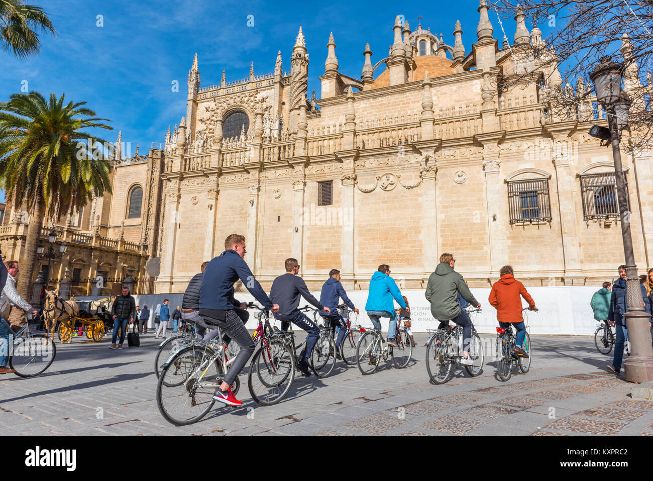Los turistas en bicicleta alrededor de la Catedral de Sevilla, Sevilla, España. Foto de stock