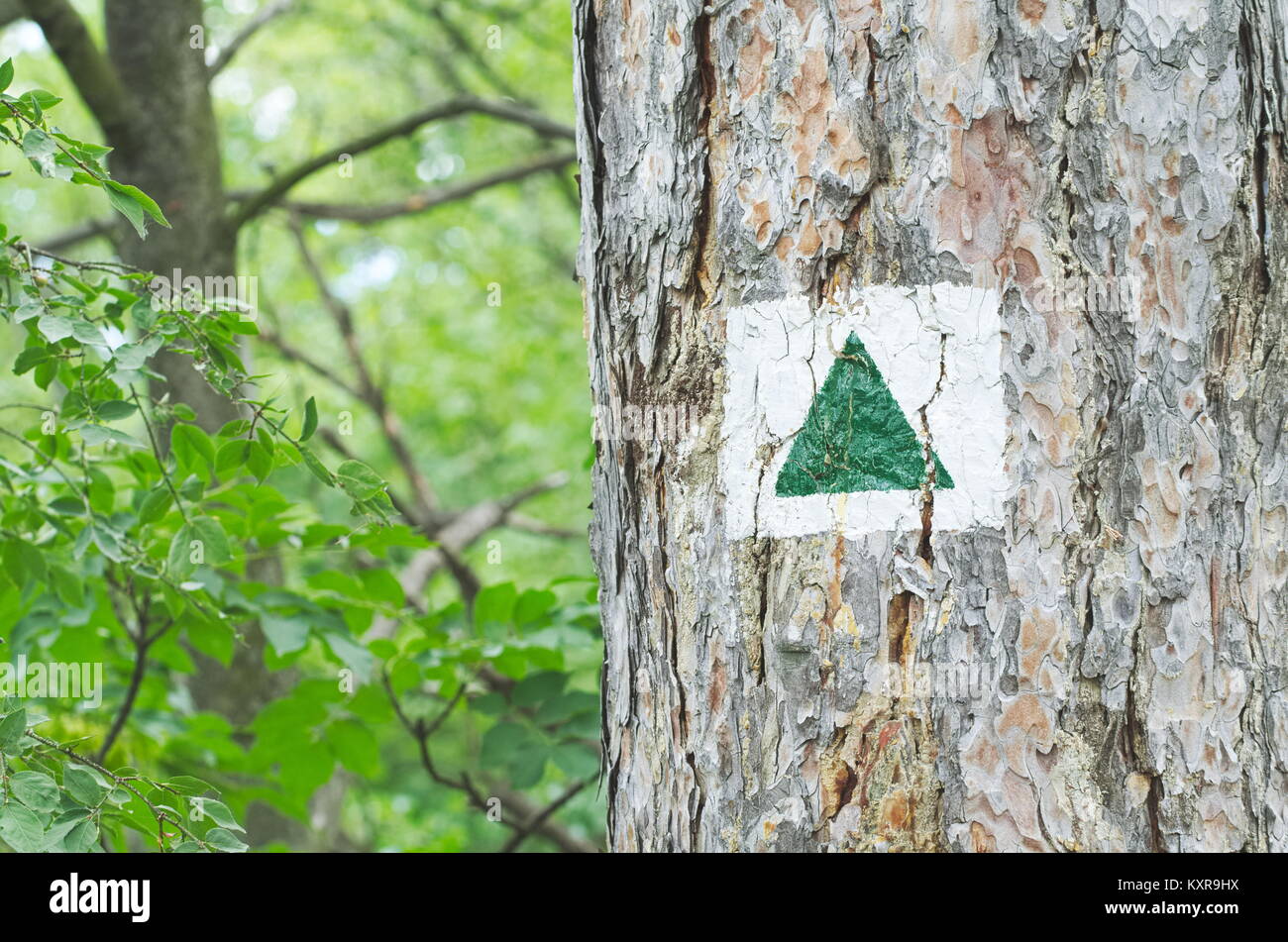 Triángulo verde Signo turístico sobre un tronco de pino Foto de stock