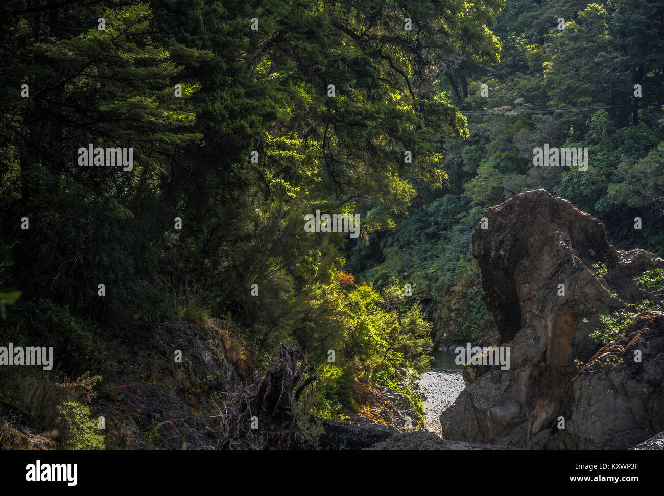 Puente Pelorus, Ubicación de película de El Hobbit, Nueva Zelanda Foto de stock
