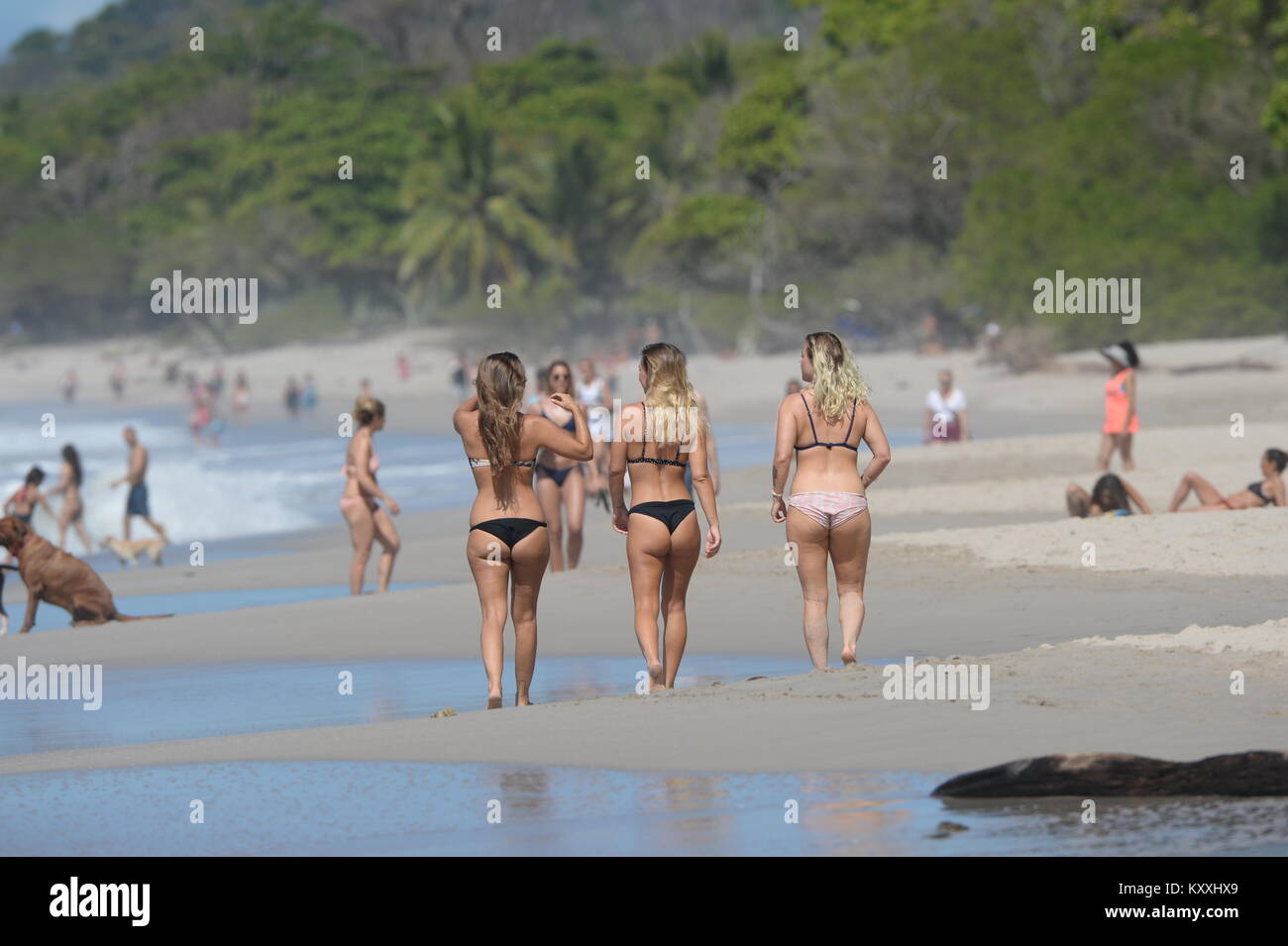 Bikinis Negros Fotos e Imágenes de stock - Alamy