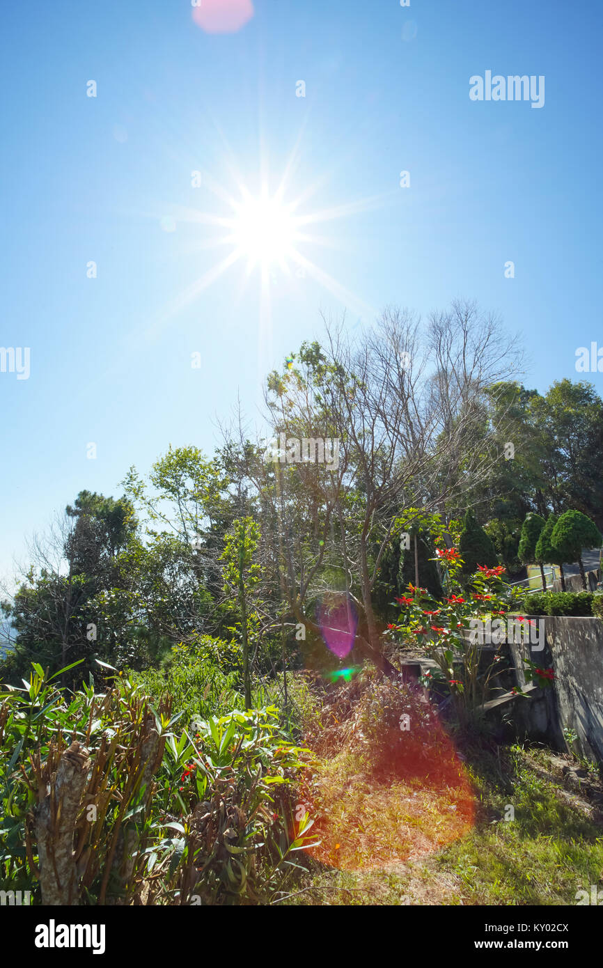 Escenario natural el sol con los brillos de la lente en la montaña en Chiang Rai, Tailandia Foto de stock