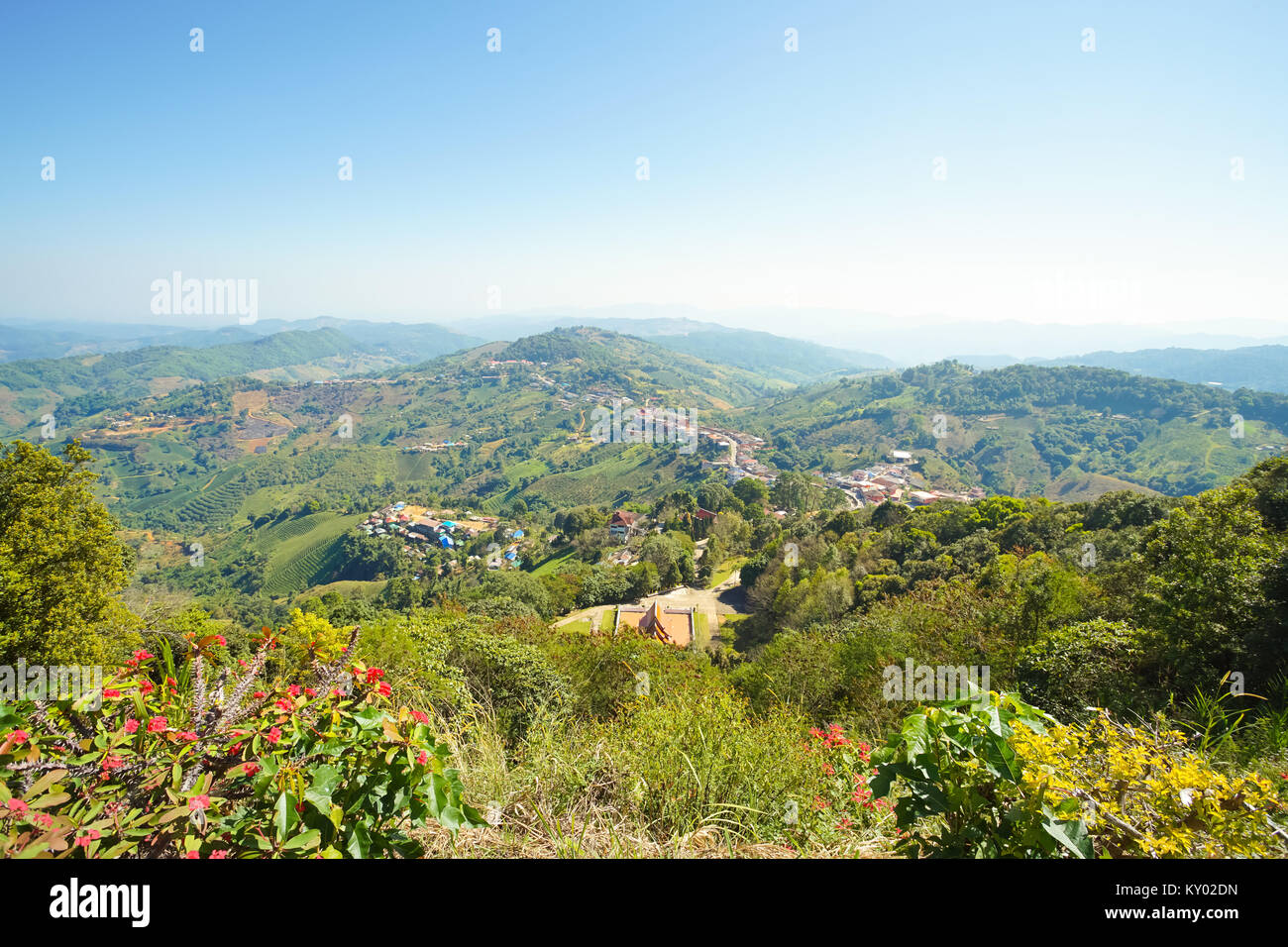 Vista la naturaleza de montaña, bosque y cielo azul en Doi Mae Salong, Chiang Rai, Tailandia Foto de stock