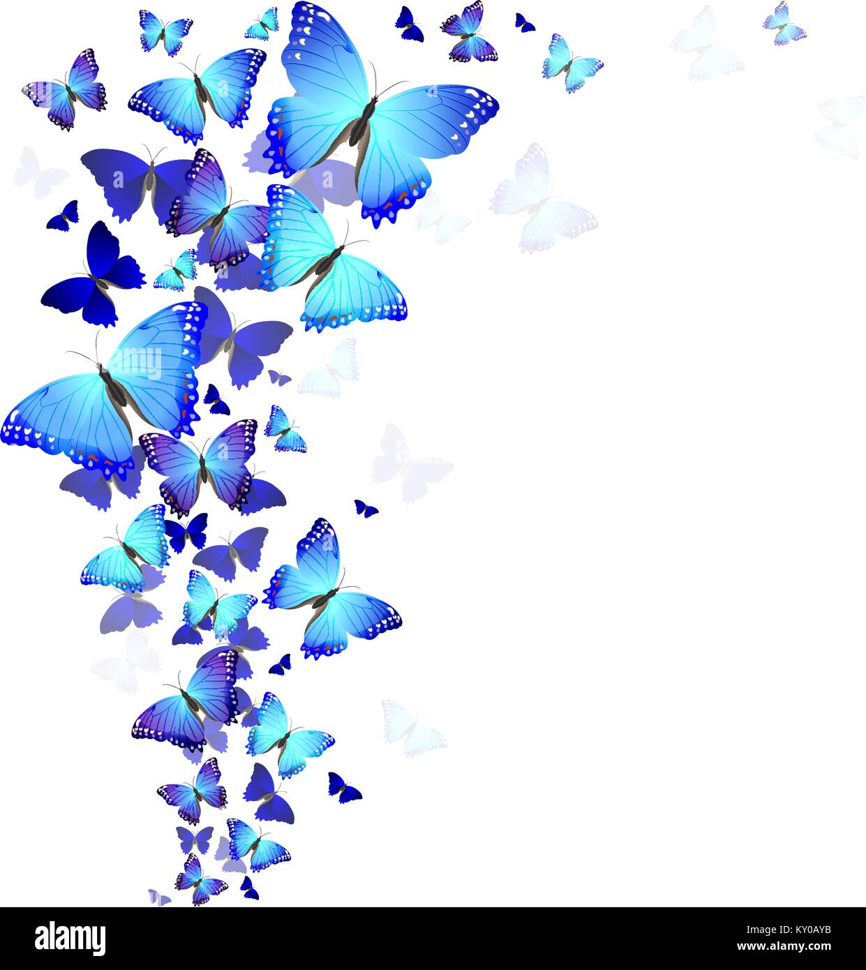 pix Imagenes De Mariposas Azules Sin Fondo https www alamy es foto fondo de hermosas mariposas azules 171497631 html