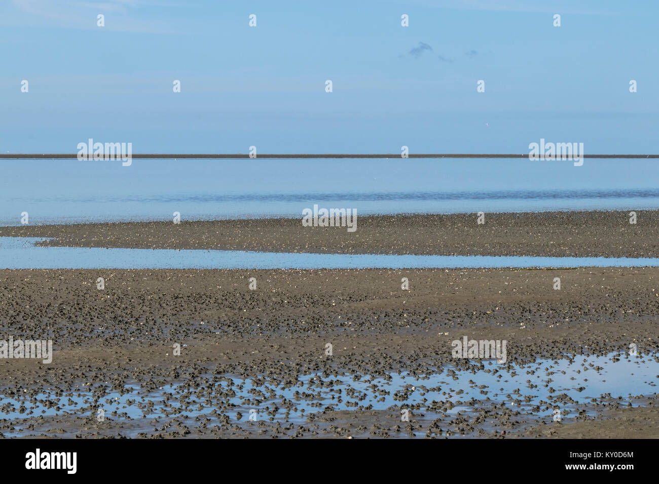 Elenco de sedimentos de defaecated Lugworms (Arenicola marina) con marea baja en la pleamar en Mandoe Foto de stock