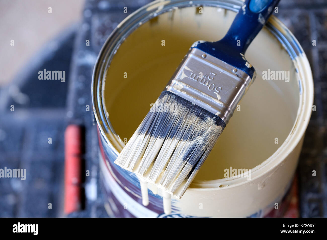 Utiliza una media lata de pintura mural del hogar con un pincel tumbado en la parte superior de él. El cepillo está parcialmente cubierto en pintura húmeda Foto de stock