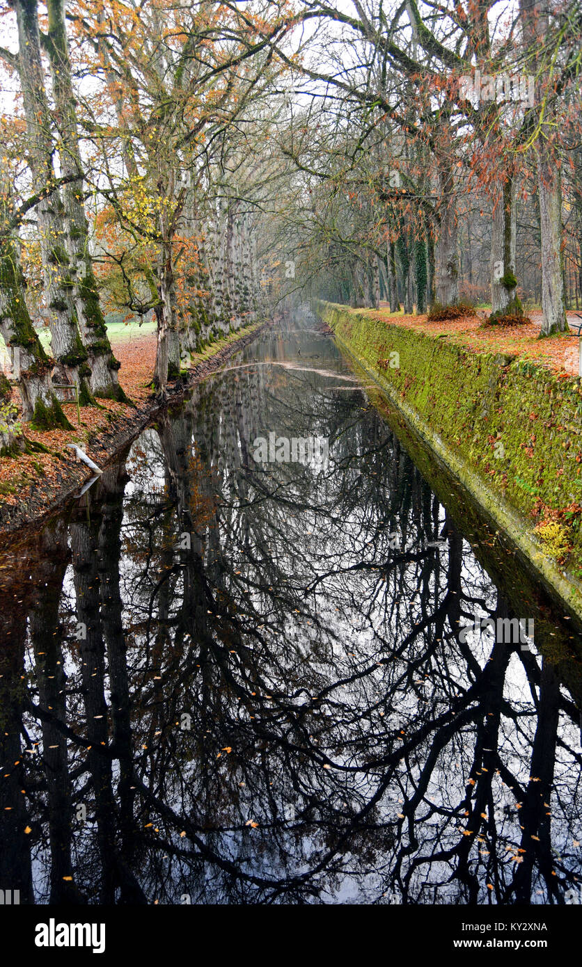 Chateau Chenonceaux, Valle del Loira, Francia Foto de stock