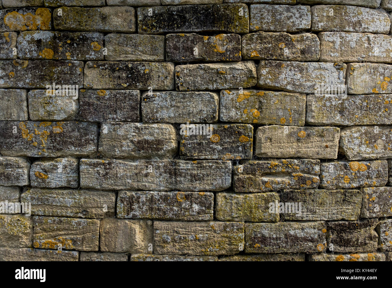 Soportó la antigua muralla de piedra seca cubierta con líquenes, UK Foto de stock