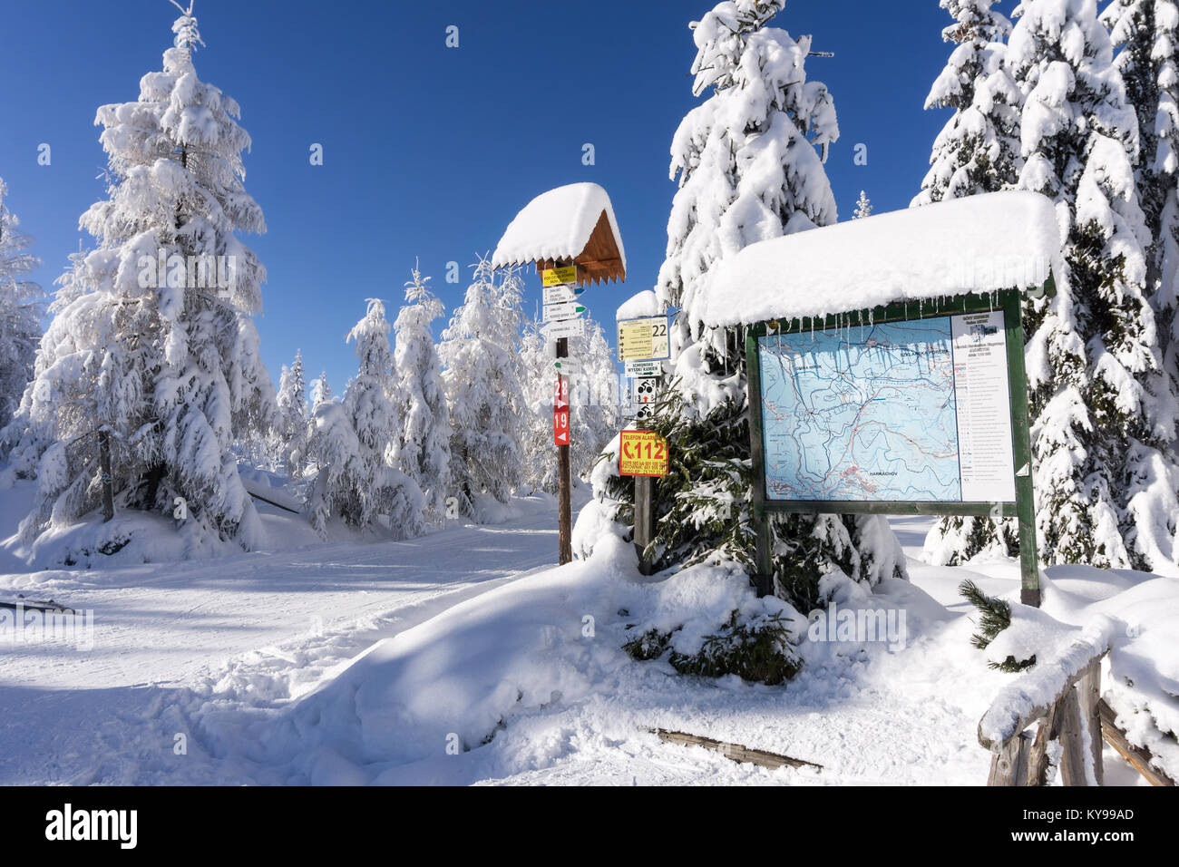 Sendero de montaña firmar con direcciones y senderismo o esquí en tiempo Jakuszyce, Karkonosze (Montañas Gigantes), Polonia. La carretera de montaña invernal con pisadas cr Foto de stock