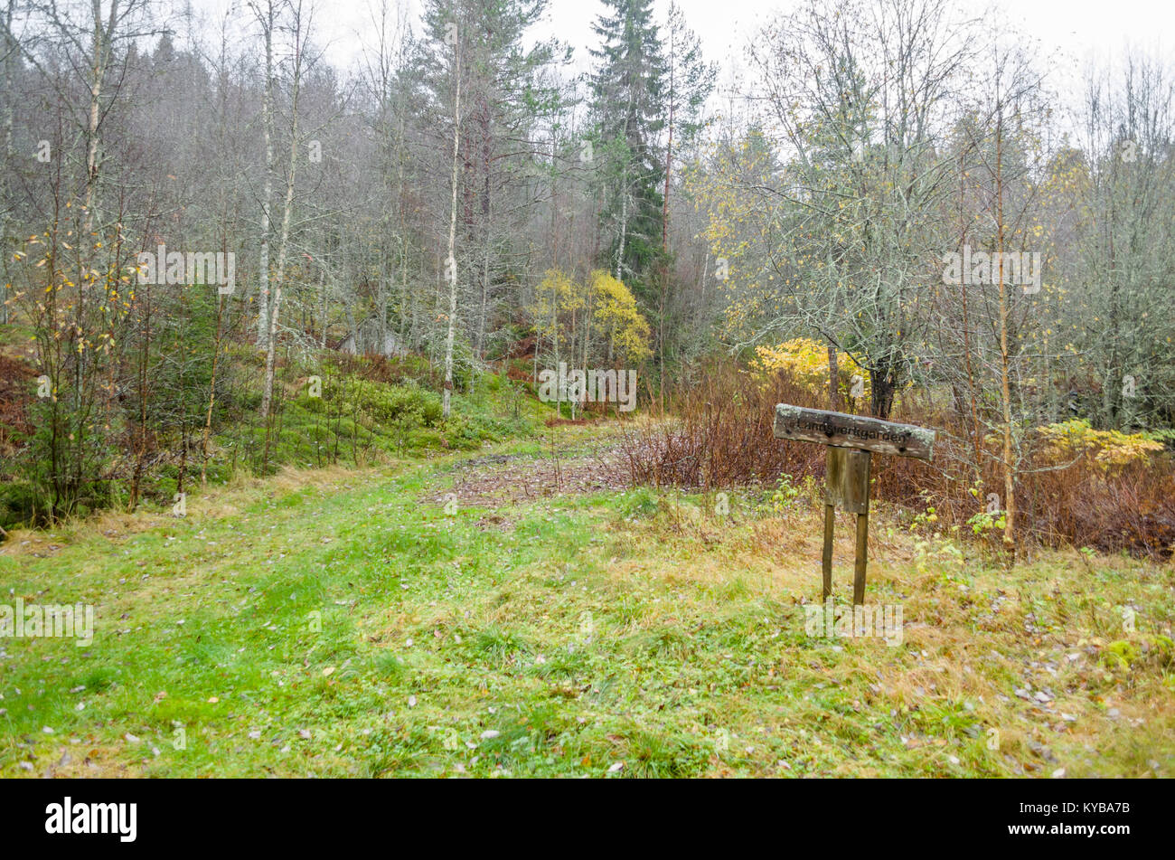 Landsverk 3, Evje Mineralsti. A finales de otoño no hay hojas y reliquias son visibles en el bosque, por lo que es la mejor época para visitar este lugar. Foto de stock