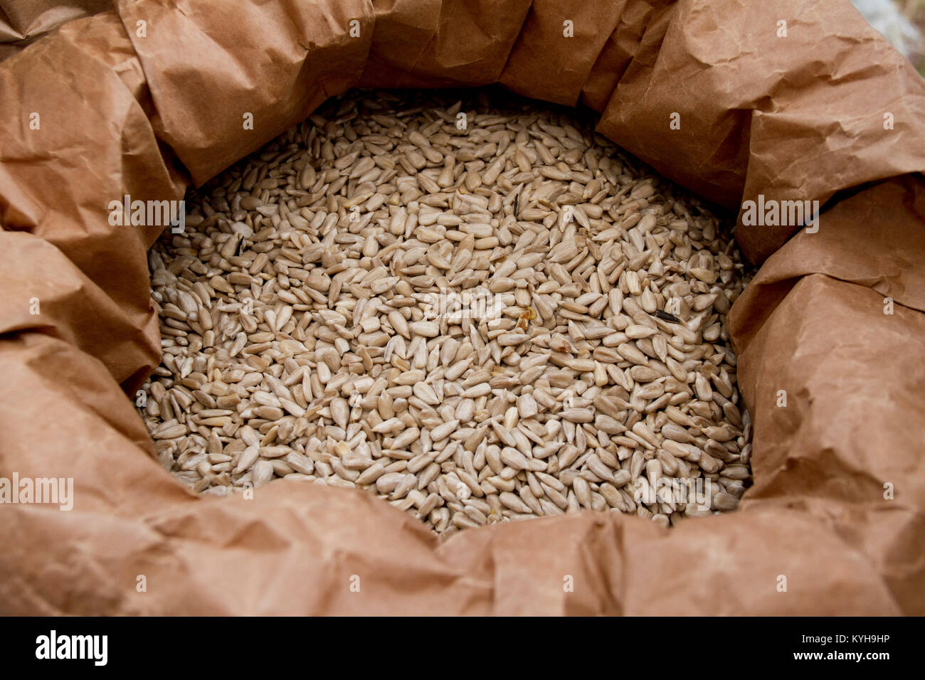 Las semillas de girasol. Semillas de girasol peladas orgánicos frescos en  una bolsa para almacenamiento. El aceite de girasol Fotografía de stock -  Alamy