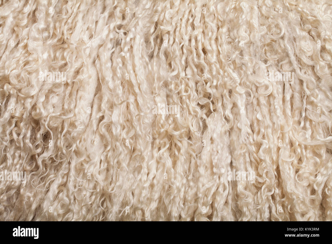 Piel de oveja. La textura de la lana. Closeup antecedentes Foto de stock
