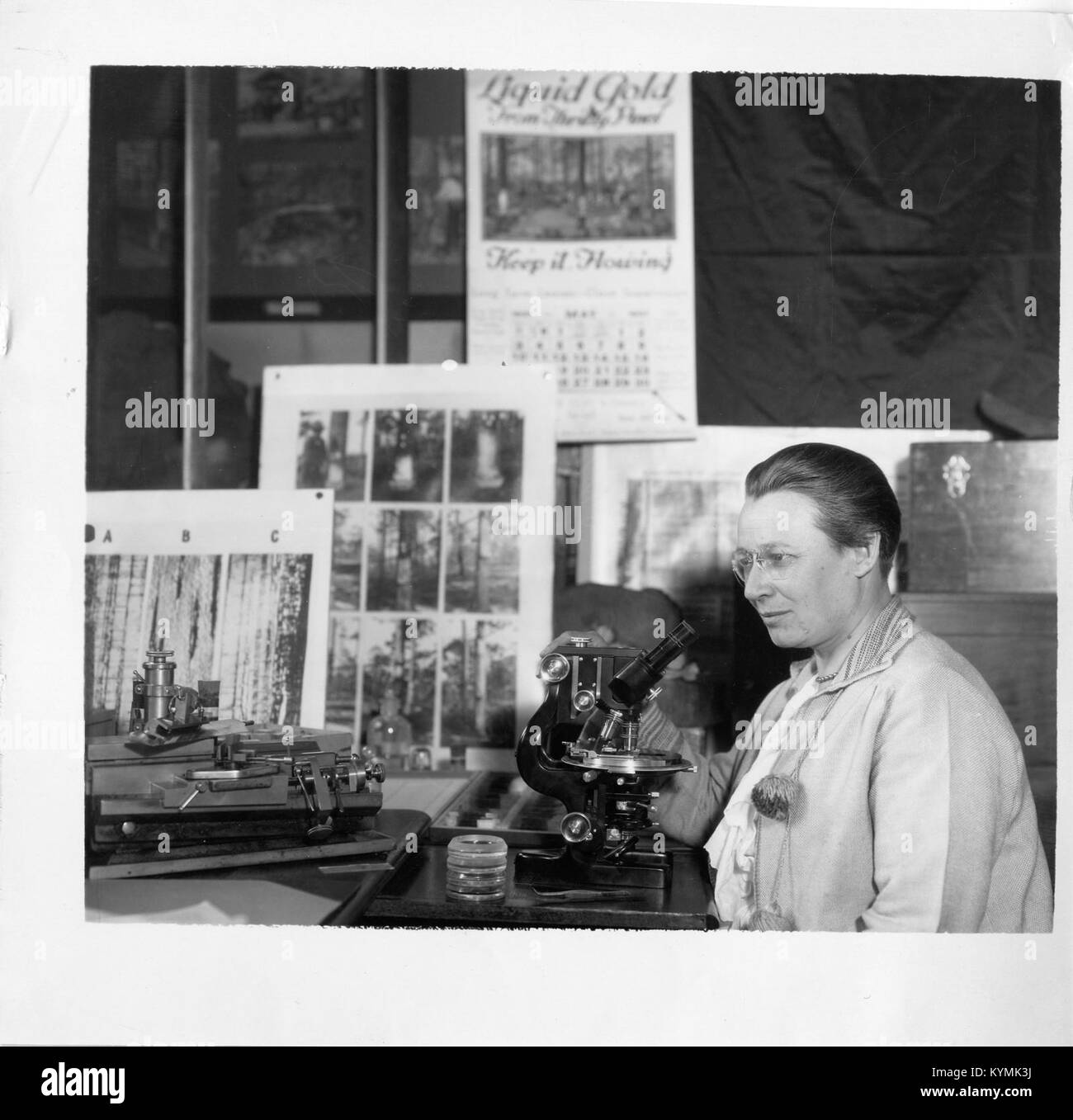 Eloise Gerry (1885-1970), que se muestra en el microscopio o 3321963681 Foto de stock