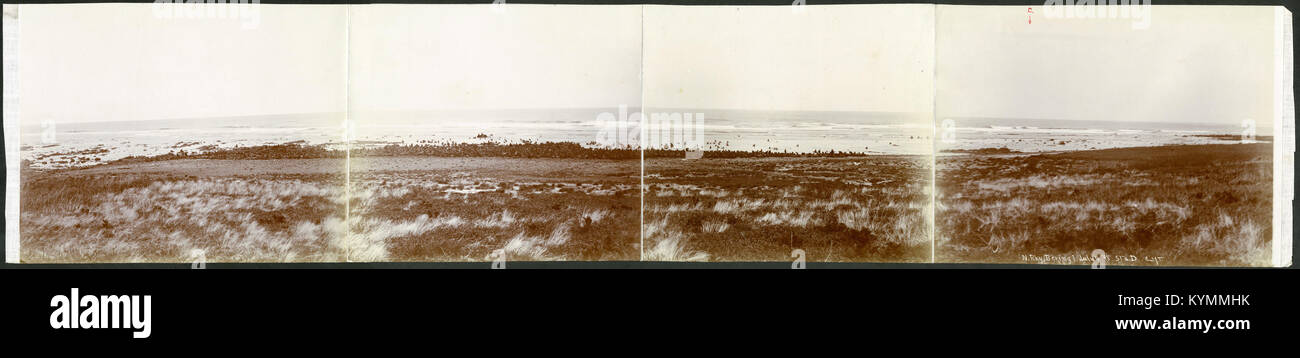 Criadero Del Norte, la isla de Bering, 4 de julio de 1895, Sta D CHT o 18212774243 Foto de stock