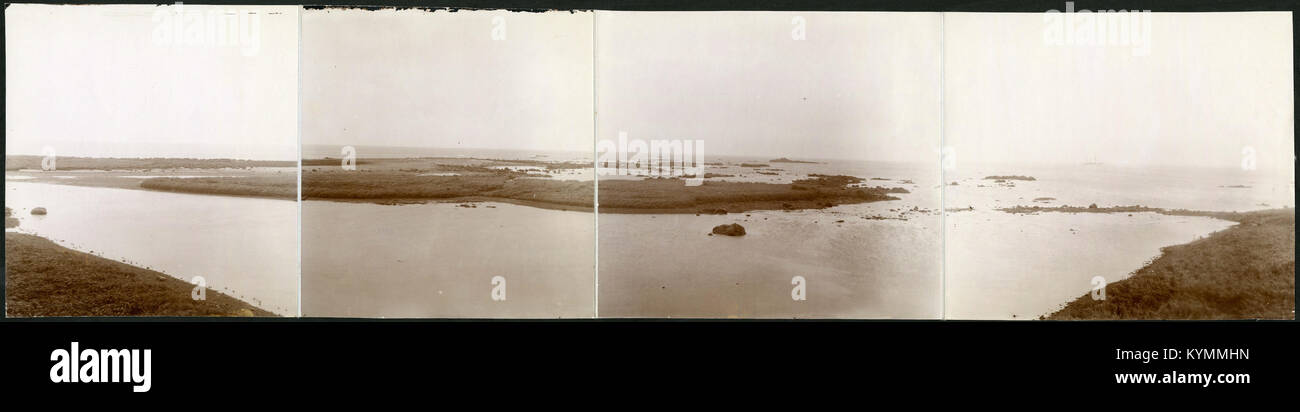 Criadero Del Norte, la isla de Bering, 8 de agosto de 1896 oh 18836105631 Foto de stock