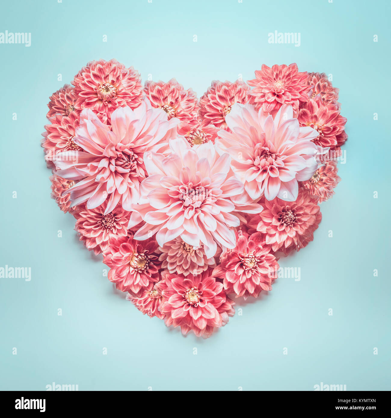 Color Pastel Corazon De Hermosas Flores De Color Rosa Sobre Fondo Azul Turquesa Vista Superior Amor Boda O San Valentin Concepto Diseno De Saludo Ca Fotografia De Stock Alamy El turquesa es un color precioso, conocido tambien como aguamarina, que esta entre el azul y el verde. https www alamy es foto color pastel corazon de hermosas flores de color rosa sobre fondo azul turquesa vista superior amor boda o san valentin concepto diseno de saludo ca 171947629 html