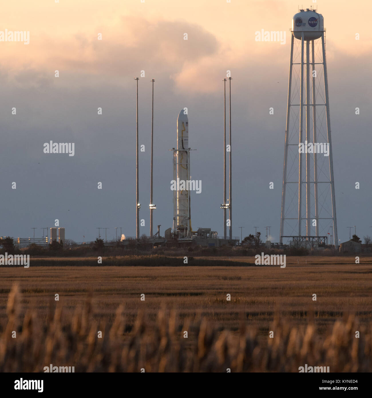 El orbital ATK Antares cohete, con el Cygnus naves espaciales a bordo, es visto en Launch Pad-0A, el sábado 11 de noviembre de 2017 de la NASA Wallops Flight Facility en Virginia. ATK Orbital la octava misión de reabastecimiento de la carga contratada con la NASA para la Estación Espacial Internacional entregará aproximadamente 7.400 libras de ciencia e investigación, la tripulación de suministros y equipos del vehículo al laboratorio orbital y su tripulación. Crédito de la foto: (NASA/Bill Ingalls) Foto de stock