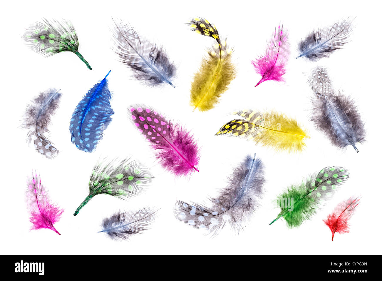 Fondo de colores intensos de teñido de colores brillantes y suaves plumas de aves con los colores del arco iris en un fondo Foto de stock