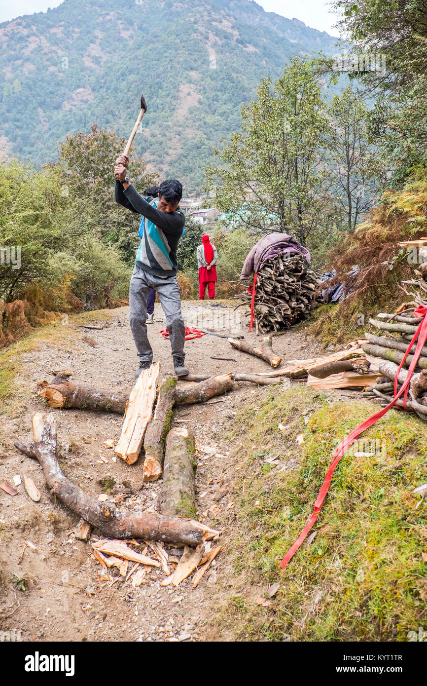 Hombre cortando leña en las estribaciones del Himalaya del norte de la India Foto de stock