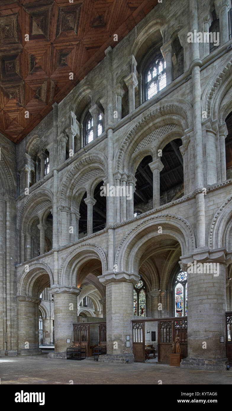 La catedral de Peterborough. Vista desde el cruce de la elevación oeste del crucero sur, sillería está mayormente tarde Norman, con arcos de cabeza redonda. Foto de stock