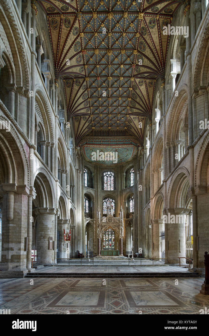 La catedral de Peterborough. Quire y presbiterio mirando al oriente con ábside semicircular. Norman columnas y techos de madera pintado del siglo xiv. Foto de stock