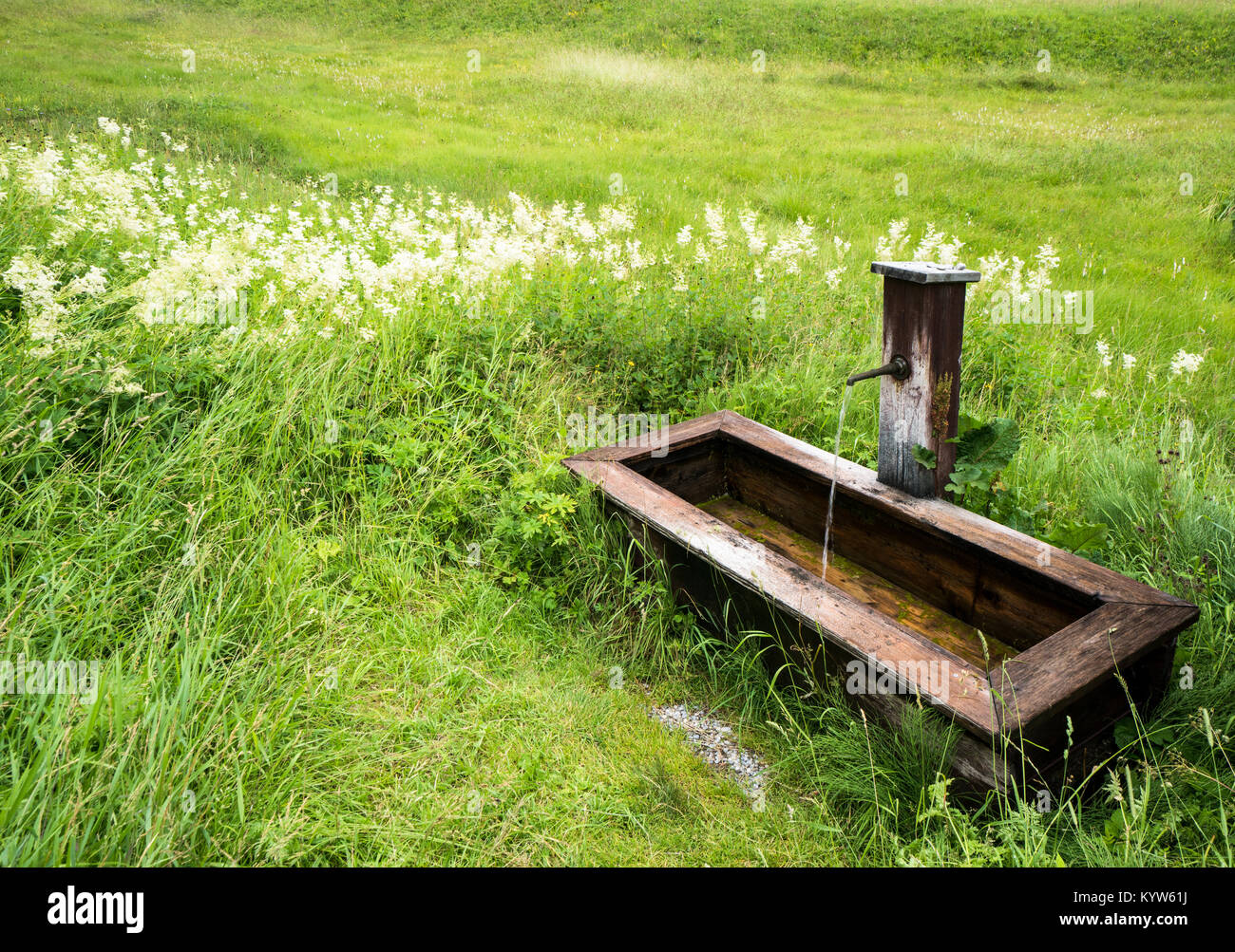 Hermosa fuente de madera y muelle en medio de un verde prado con flores silvestres Foto de stock