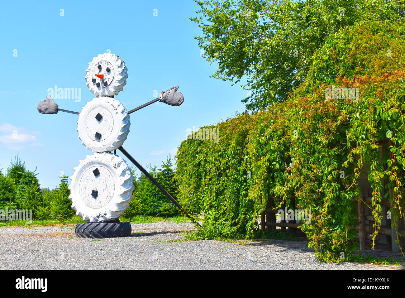 Un árbol de Navidad la granja en la hermosa campiña de la región del  Pacífico Noroeste de la ciudad de Bellingham, Washington, EE.UU. El muñeco  de nieve es de 4 neumáticos, ir