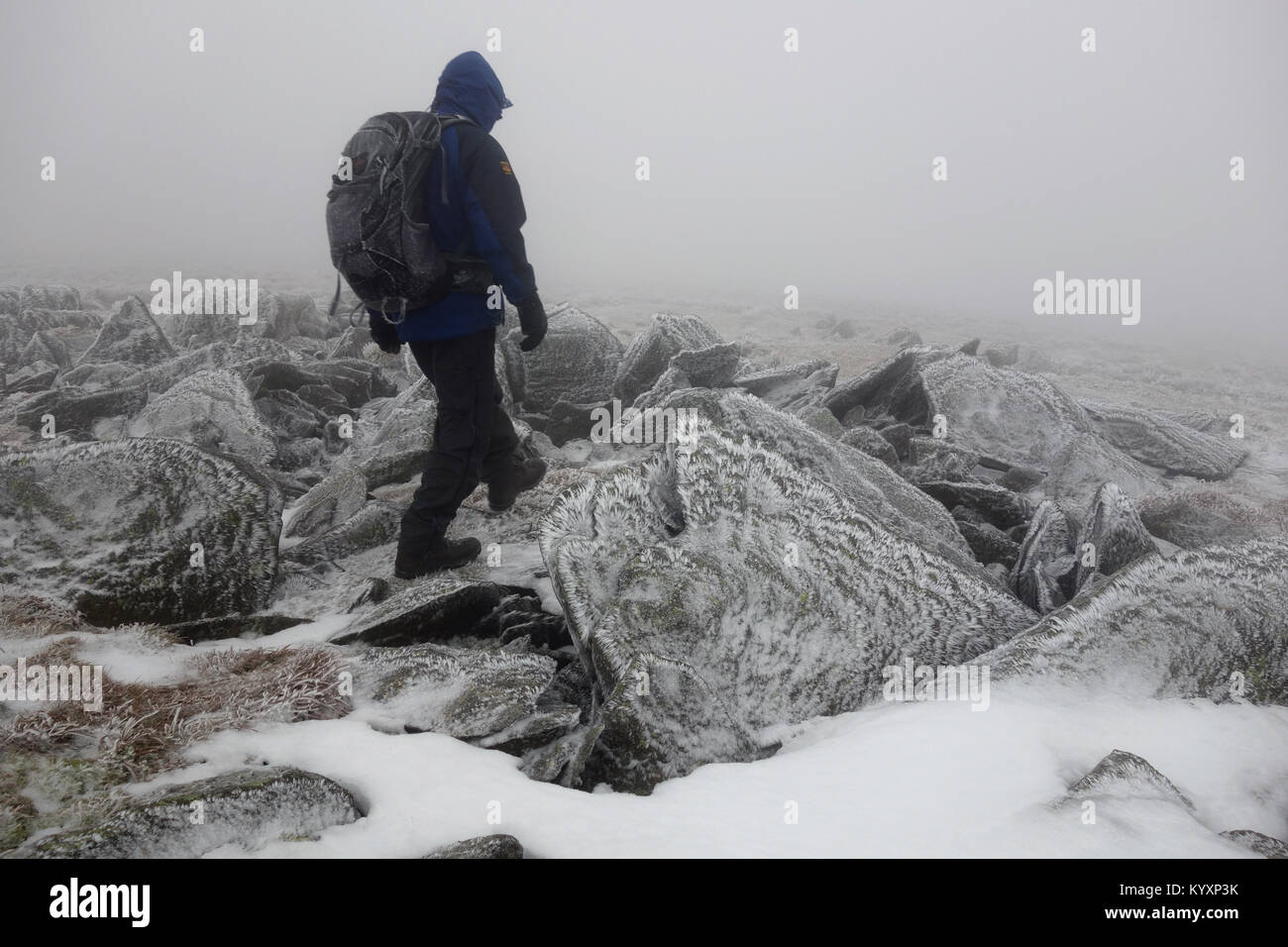 Cayó Walker rodeado por rocas cubiertas de hielo Rime (Cencellada) en la Cumbre de Thornthwaite risco en el Lake District National Park, Cumbria, Reino Unido. Foto de stock