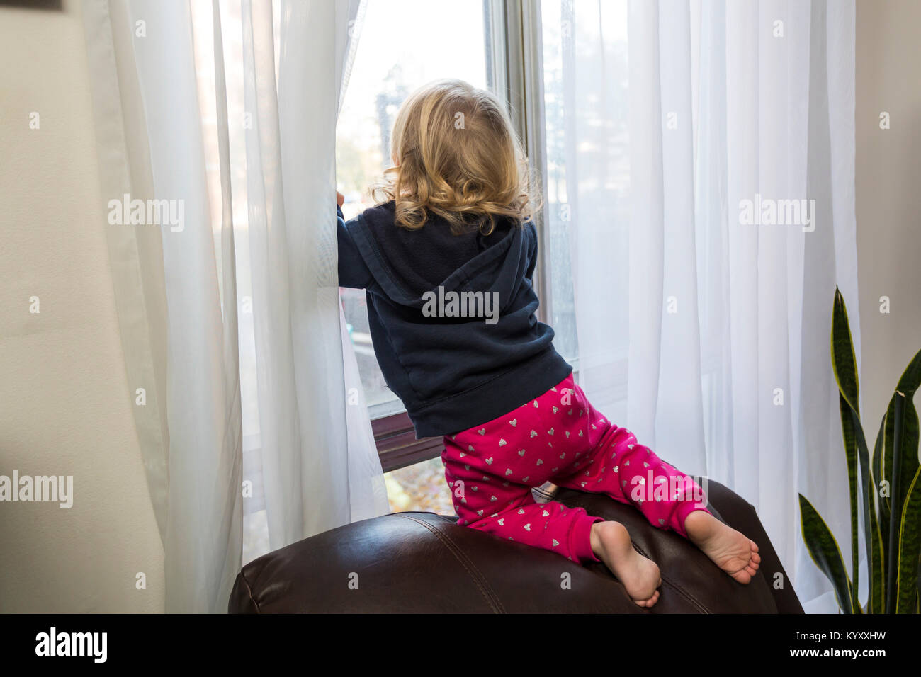Niño de 2 años, mirando por la ventana en riesgo de caer en una silla después de subir Foto de stock