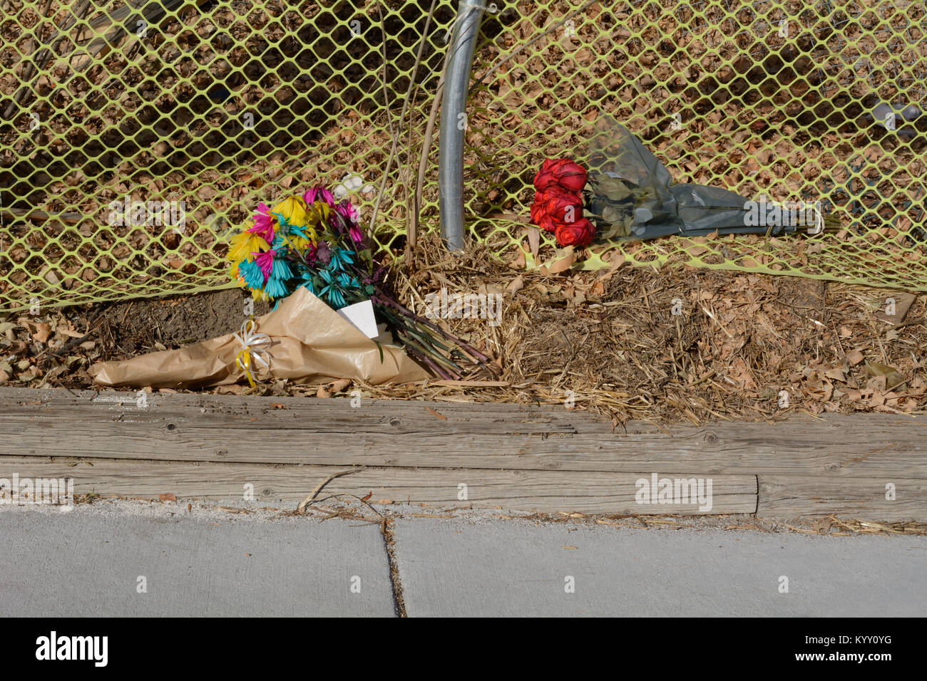 Memorial de ramos de flores a la izquierda al lado de la carretera donde  persona muertos por accidente de tráfico con chofer bajo la influencia  Fotografía de stock - Alamy