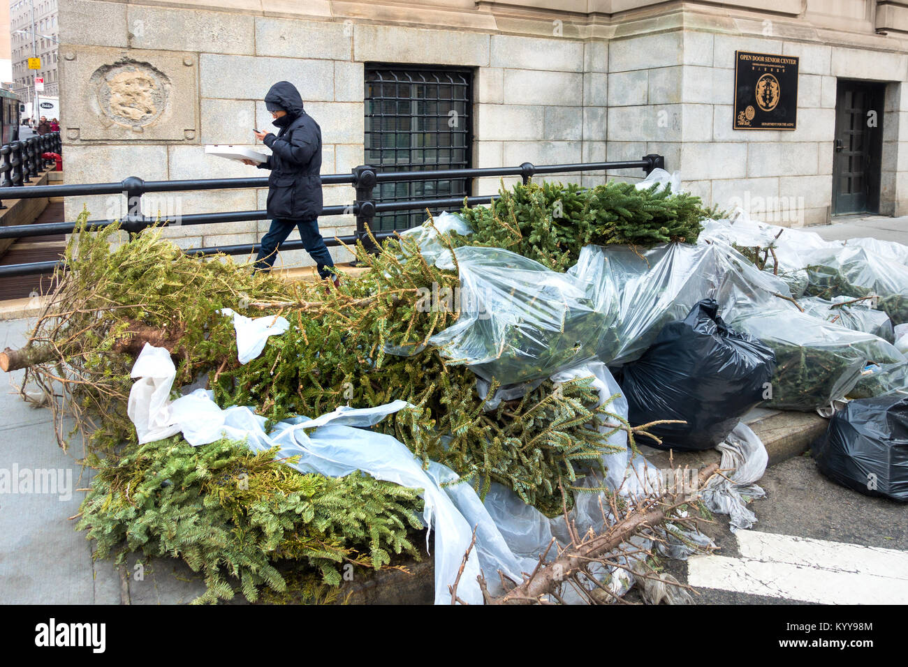 Los árboles de Navidad en la acera izquierda de recolección de basura  después de las vacaciones Fotografía de stock - Alamy