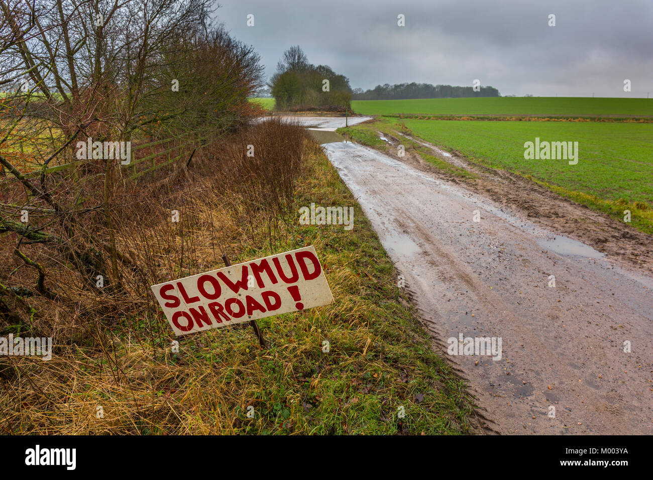 Barro lento en cartel en el país, en un aburrido día de invierno. En Suffolk, Reino Unido. Foto de stock