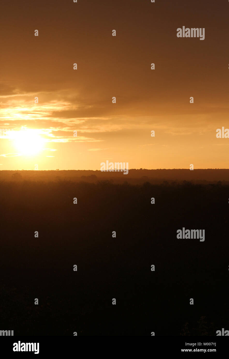 Vista aérea del paisaje durante el atardecer de la sabana, cerca de Victoria Falls, Mosi-Oa-Tunya, Zimbabwe. Foto de stock