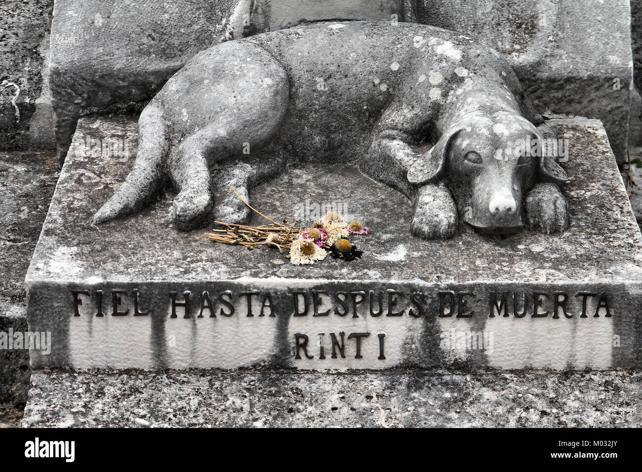 Estatua Del Cementerio De Perros Fotos e Imágenes de stock Alamy
