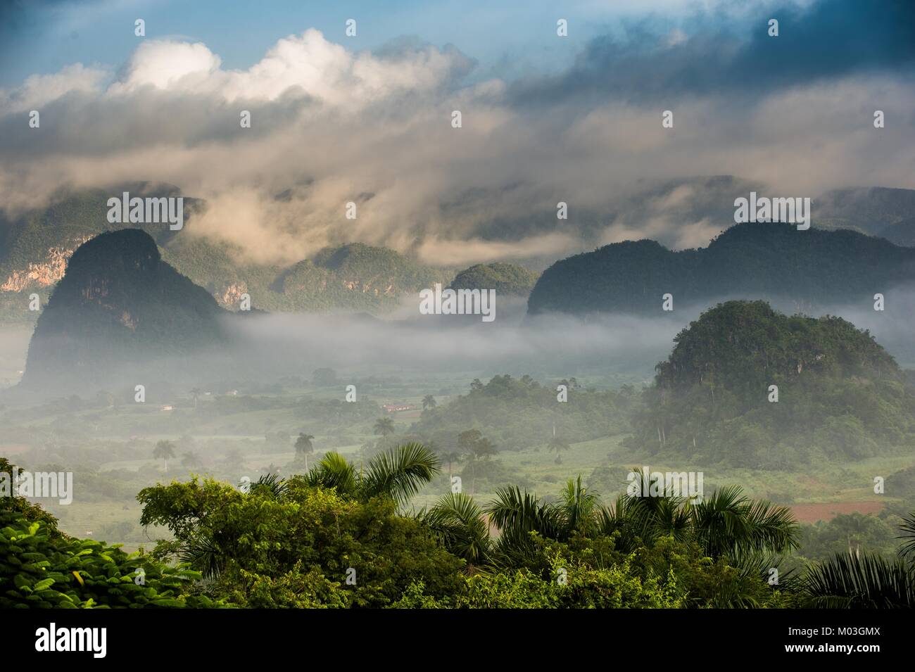 Apacible vista del valle de Viñales al amanecer. Vista aérea del Valle de Viñales en Cuba. Crepúsculo matutino y niebla. La niebla en el amanecer en el Valle de Viñales Foto de stock