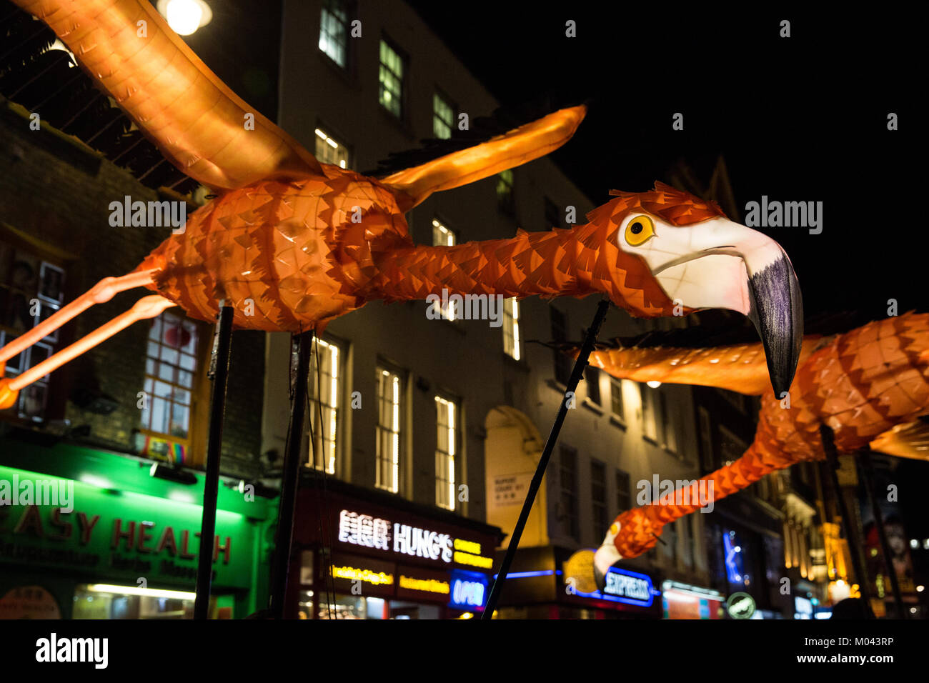 Londres, Reino Unido. 18 ene, 2018. El Lumiere light festival de Londres ha vuelto a transformar Londres nocturno para una segunda edición que consta de 50 obras de arte. Foto de la Linterna Empresa con Jo Pocock's "Flamingo Ruta Migratoria' en y alrededor de Gerrard Street, que representa la migración intercontinental rutas tomadas por flamencos cada año y establece un paralelo con la migración humana. Crédito: Mark Kerrison/Alamy Live News Foto de stock