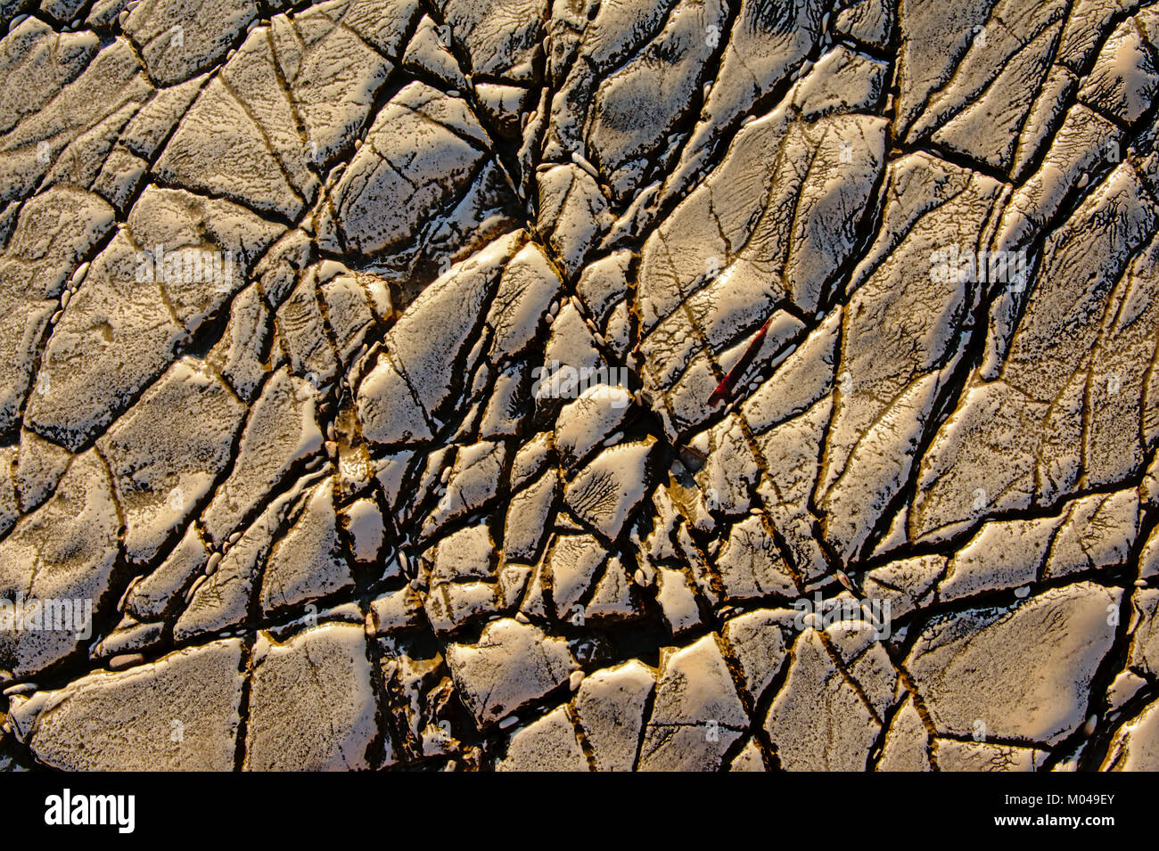 Textura De La Piedra Volcanica Roja Hecha Despues De La Solidificacion De La Lava Se Detalla Vista Fotos Retratos Imagenes Y Fotografia De Archivo Libres De Derecho Image 39329994