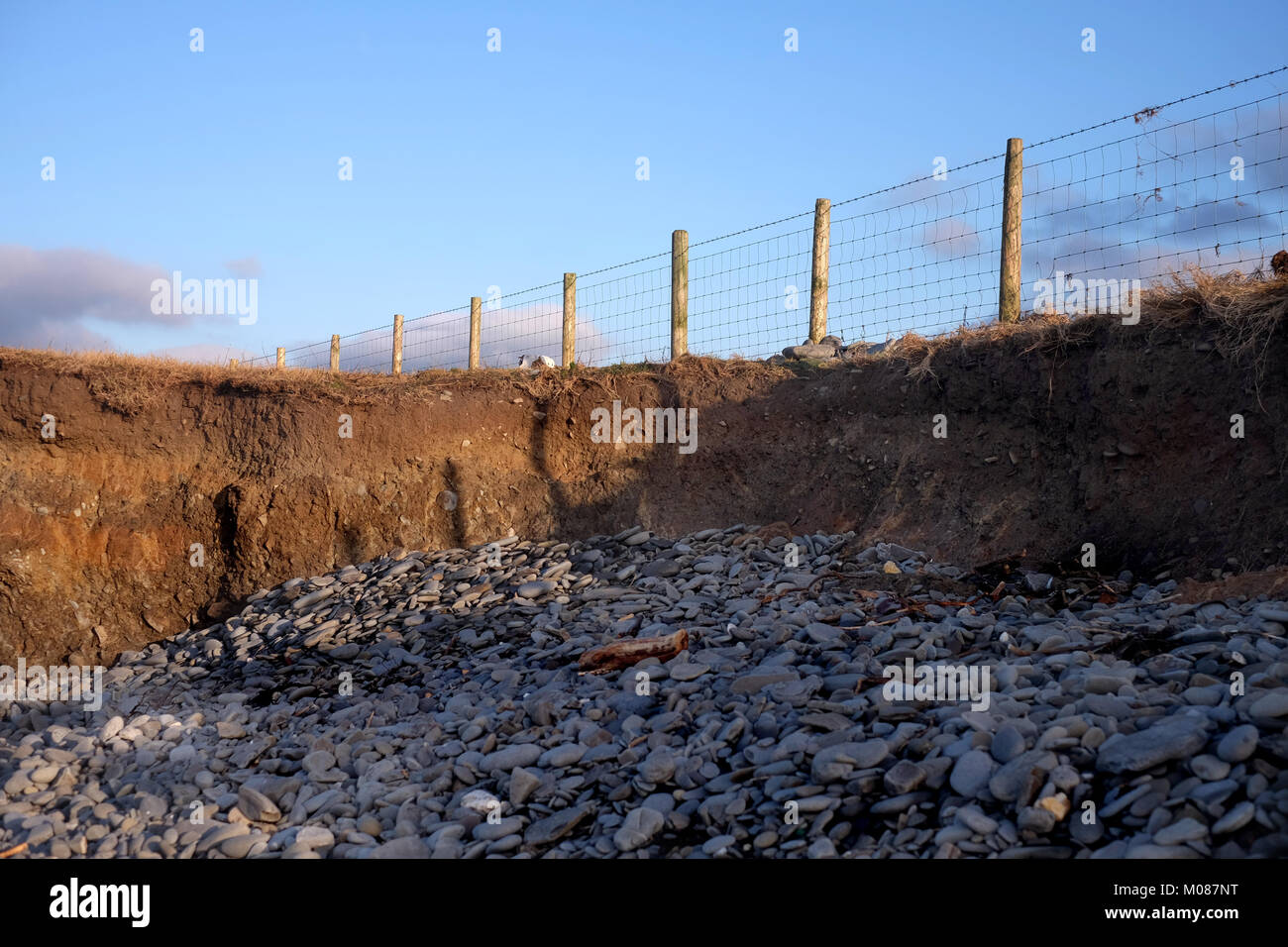 La erosión costera en la costa de Cardigan Bay Ceredigion Foto de stock